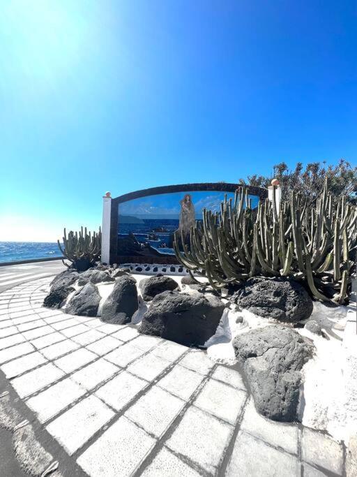 Вилла Casa A 50 Metros De La Playa. Supreme Pedro Эль-Сокорро Экстерьер фото